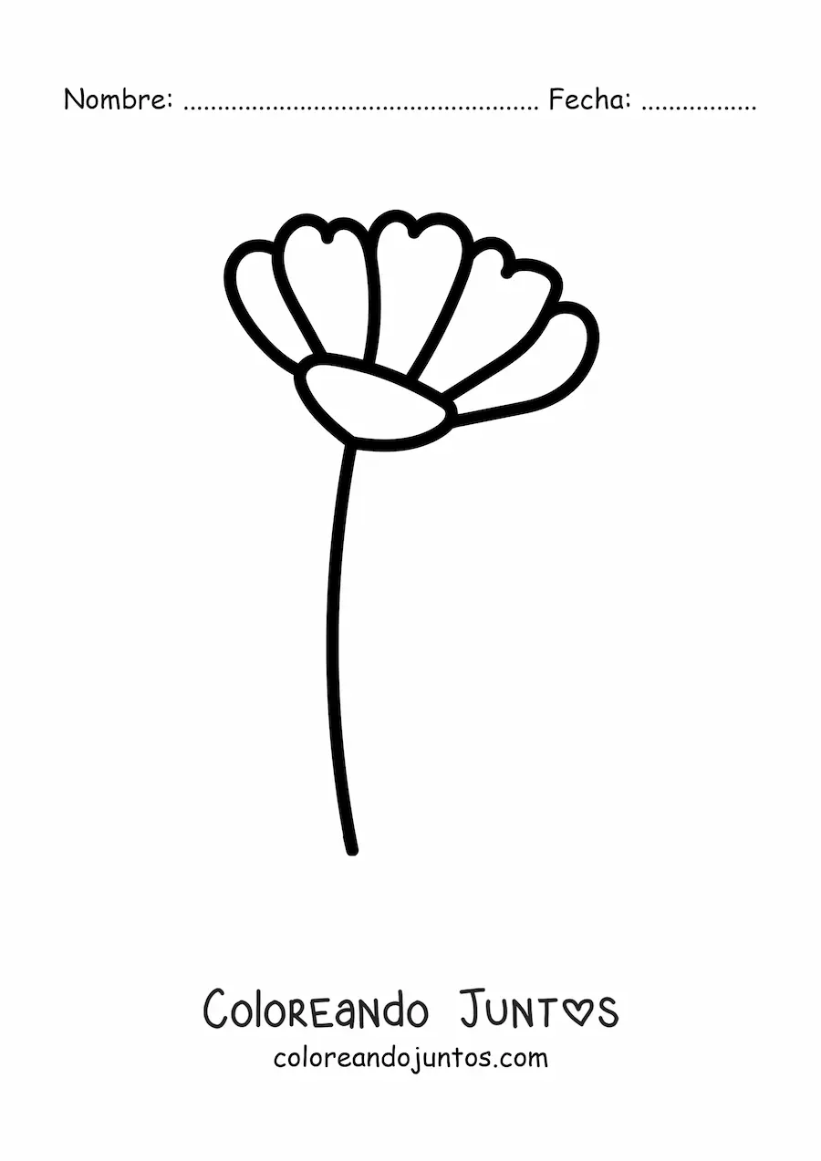 Imagen para colorear de un clavel simple