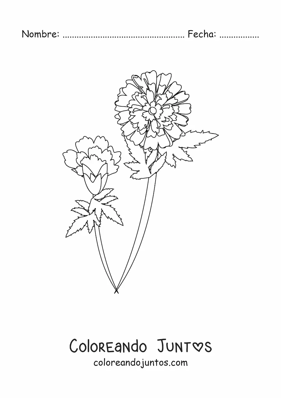 Imagen para colorear de dos claveles con hojas