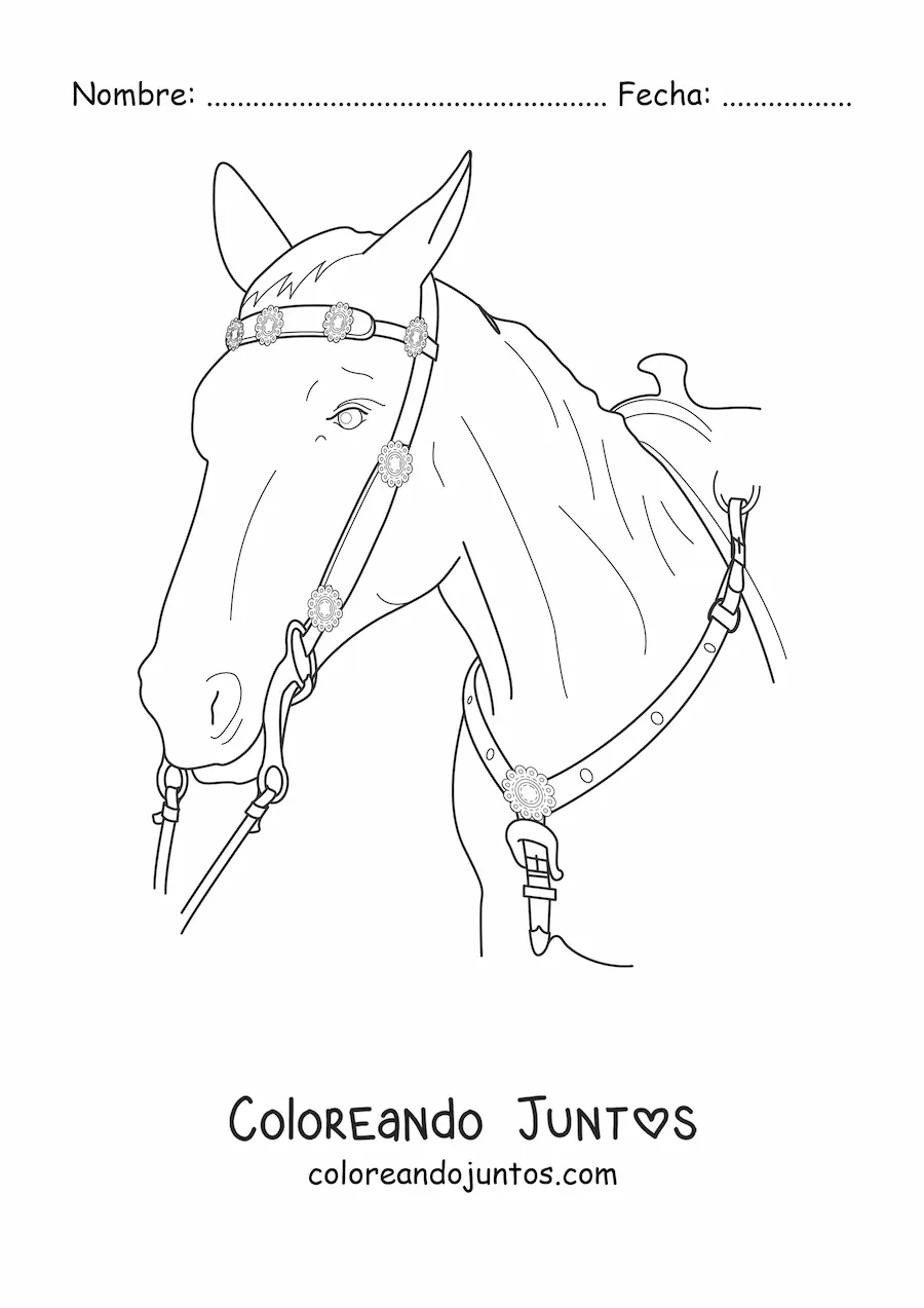 Imagen para colorear de una cabeza de caballo con las riendas puestas