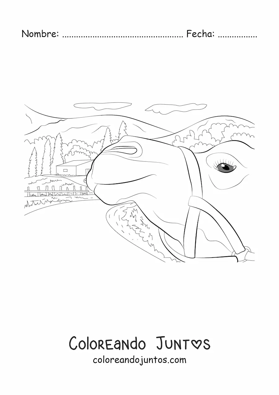 Imagen para colorear de un camello con una casa en el fondo