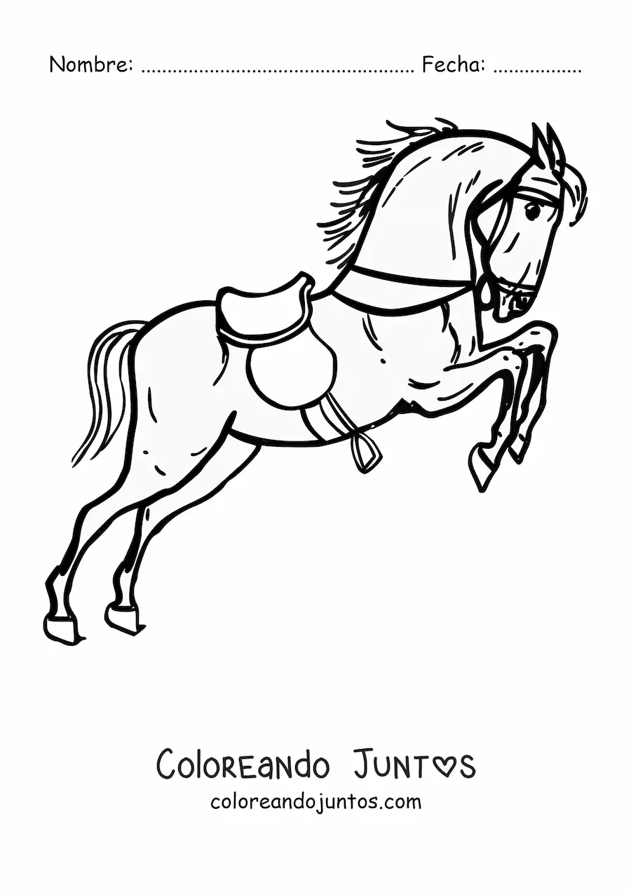 Imagen para colorear de un caballo ensillado y con riendas saltando con las patas traseras