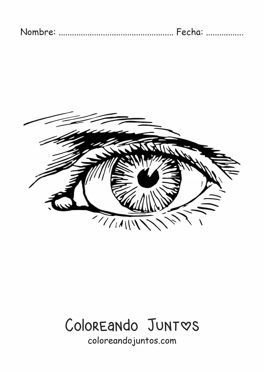 Imagen para colorear de un ojo realista