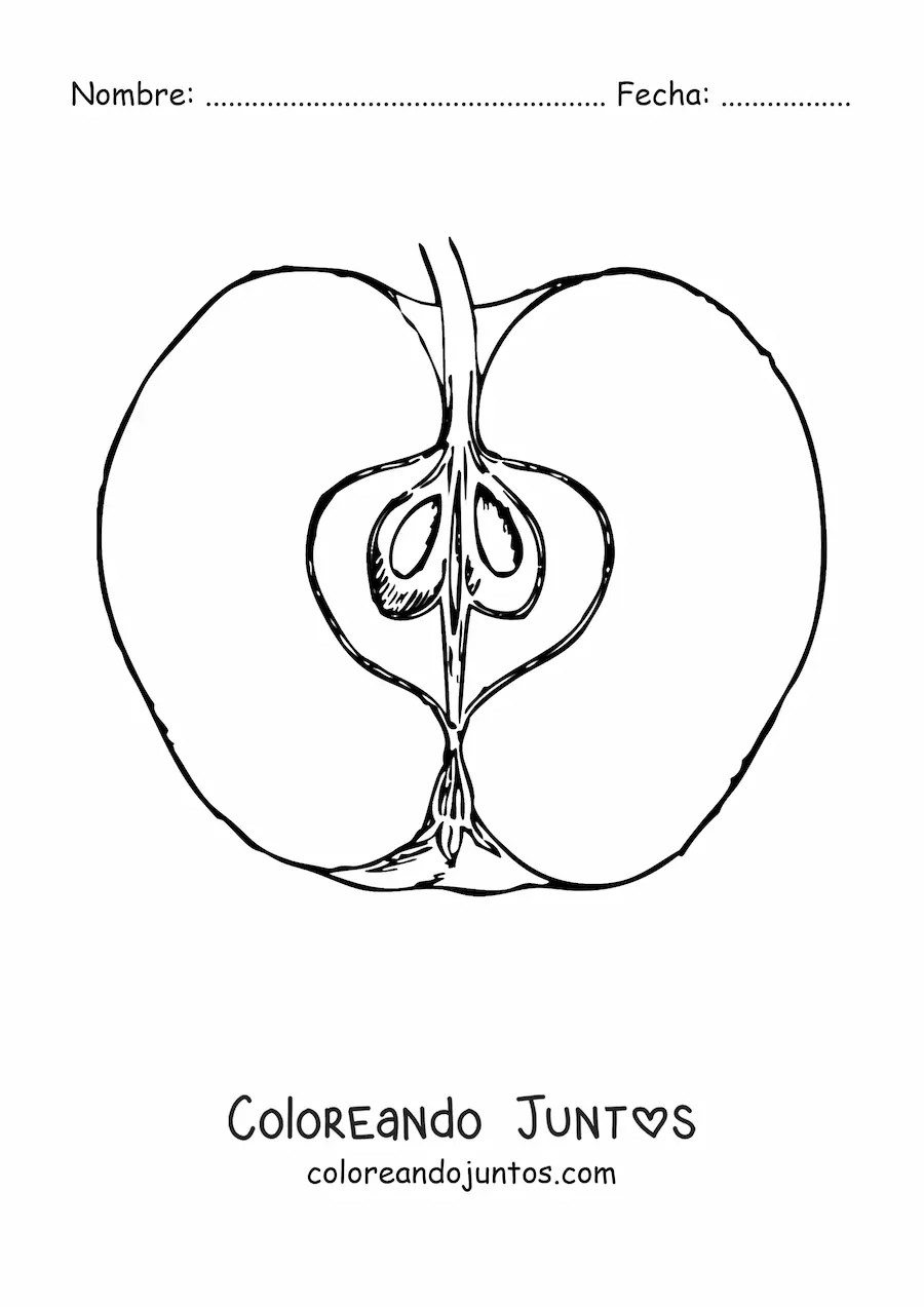 Imagen para colorear de media manzana