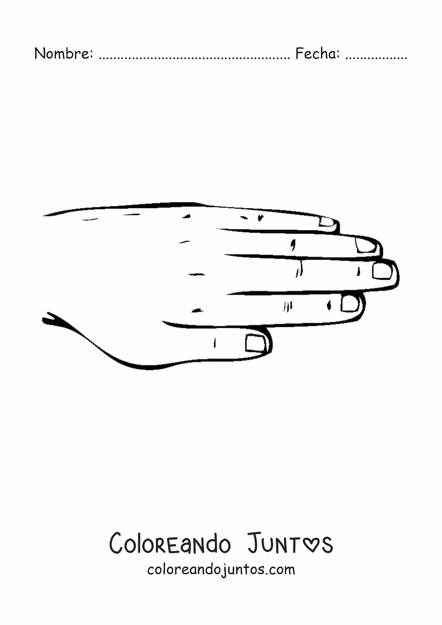 Imagen para colorear de la mano izquierda