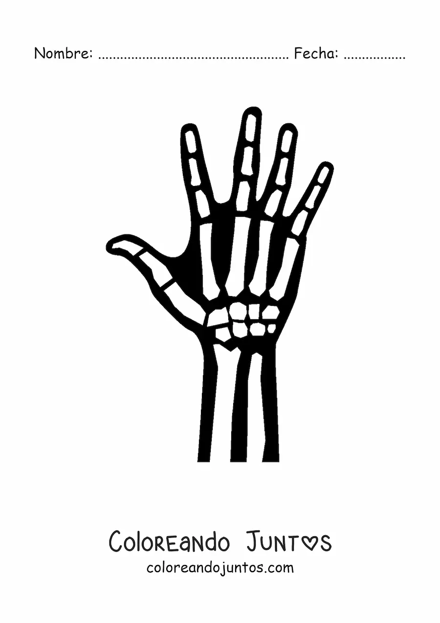Imagen para colorear de una radiografía de la mano derecha