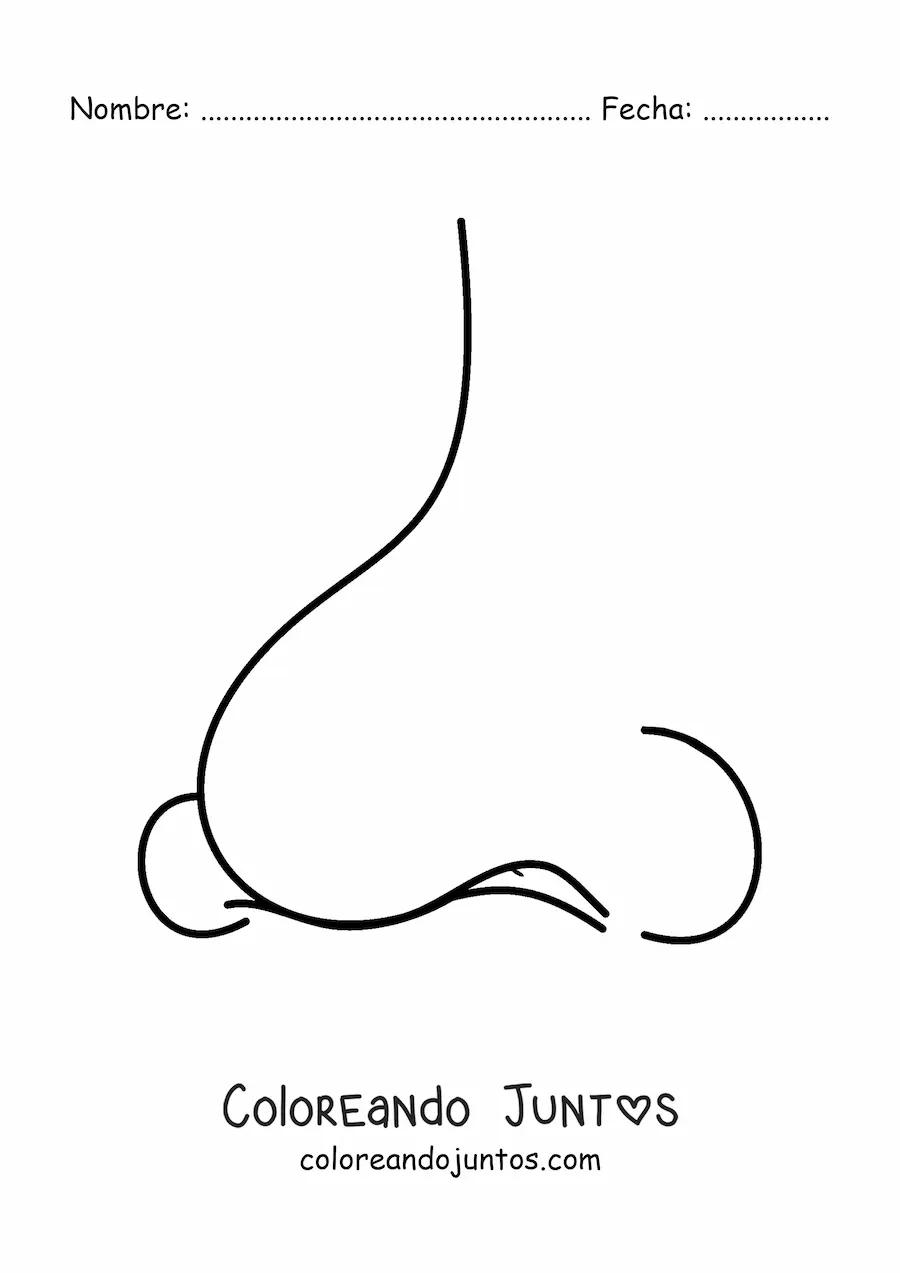 Imagen para colorear de una nariz
