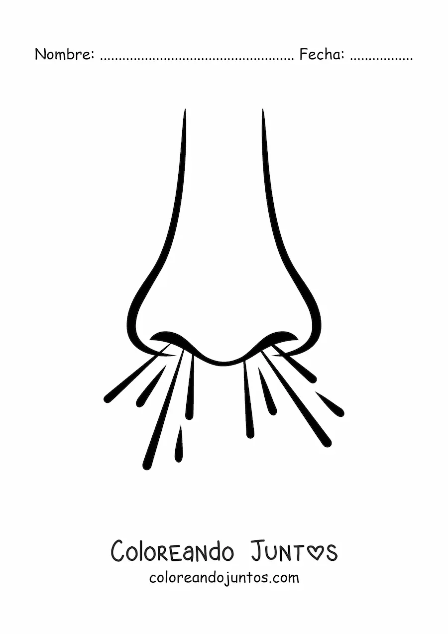 Imagen para colorear de una nariz respirando
