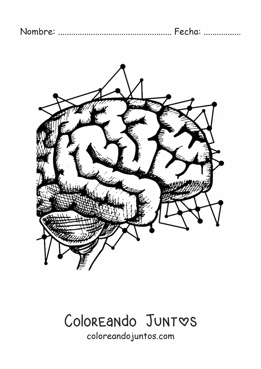 Imagen para colorear de un cerebro de perfil rodeado de circuitos
