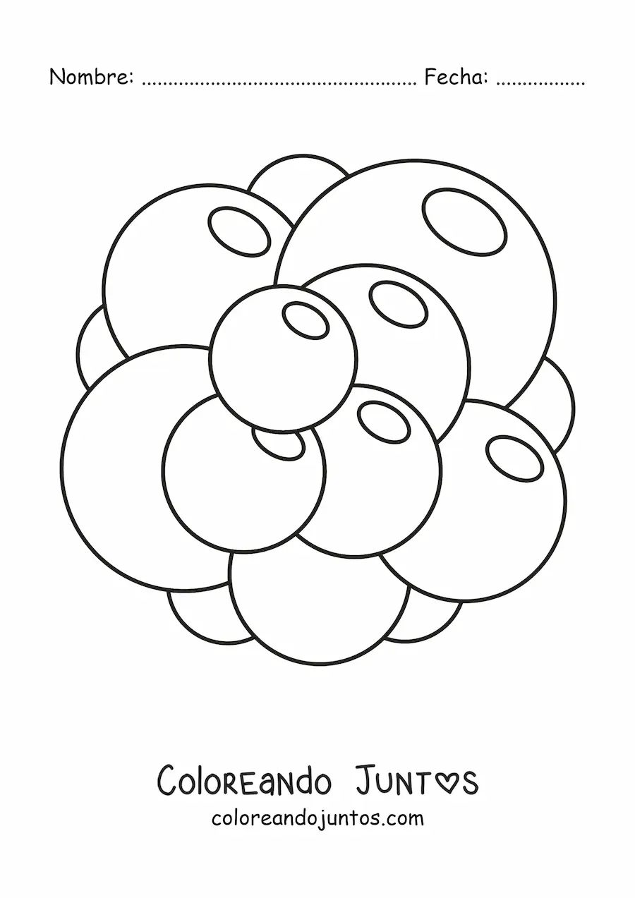 Imagen para colorear de una célula madre