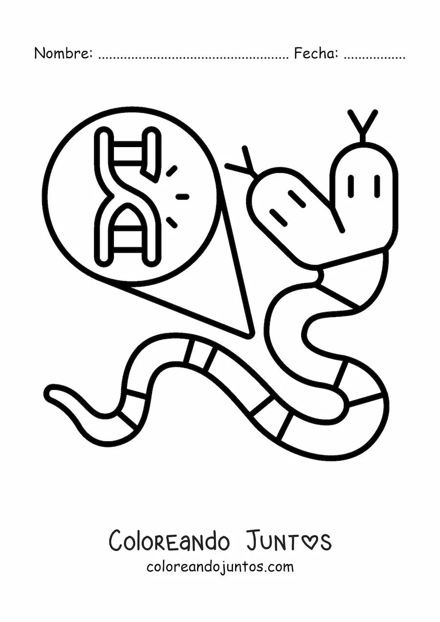 Imagen para colorear de una mutación genética