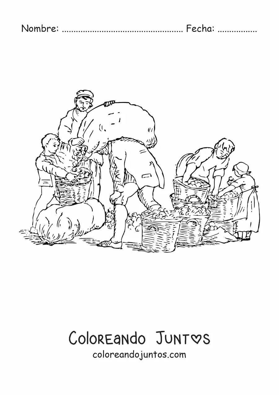 Imagen para colorear de campesinos cosechando manzanas con canastos y sacos