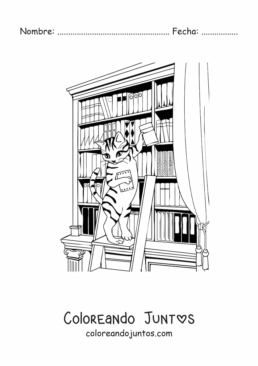 Imagen para colorear de un gato animado buscando un libro en la biblioteca
