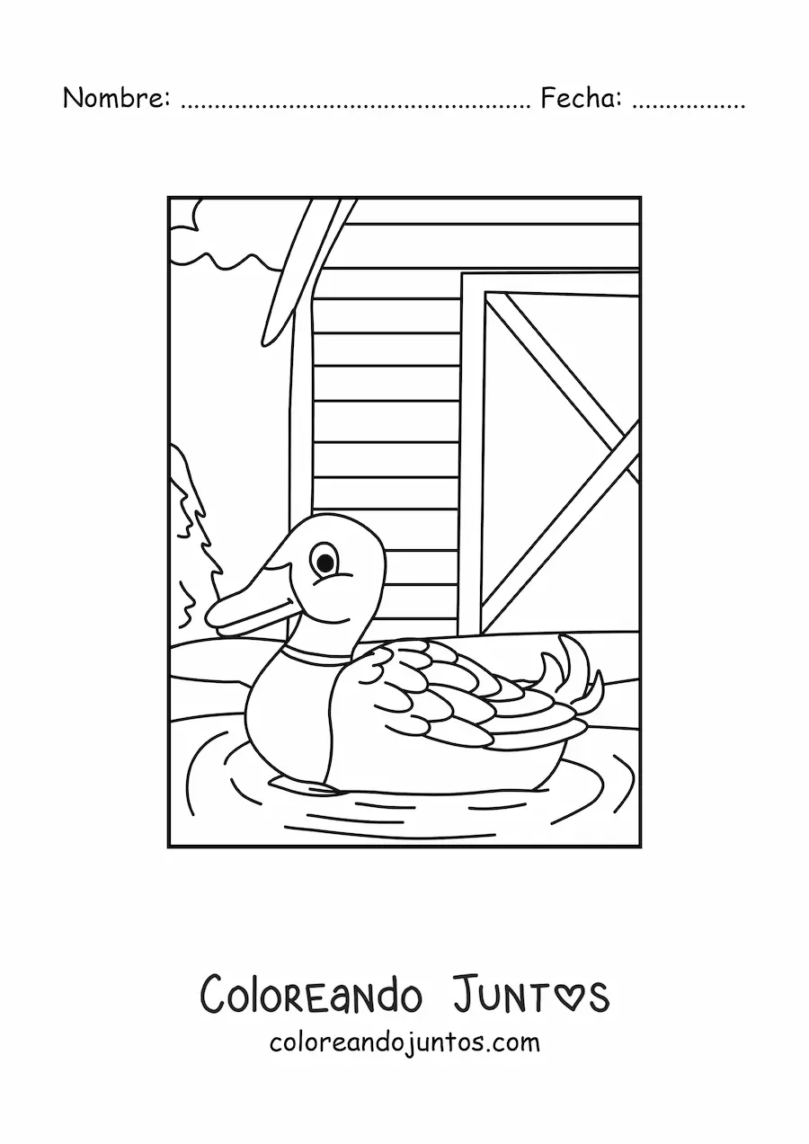 Imagen para colorear de un pato en la granja