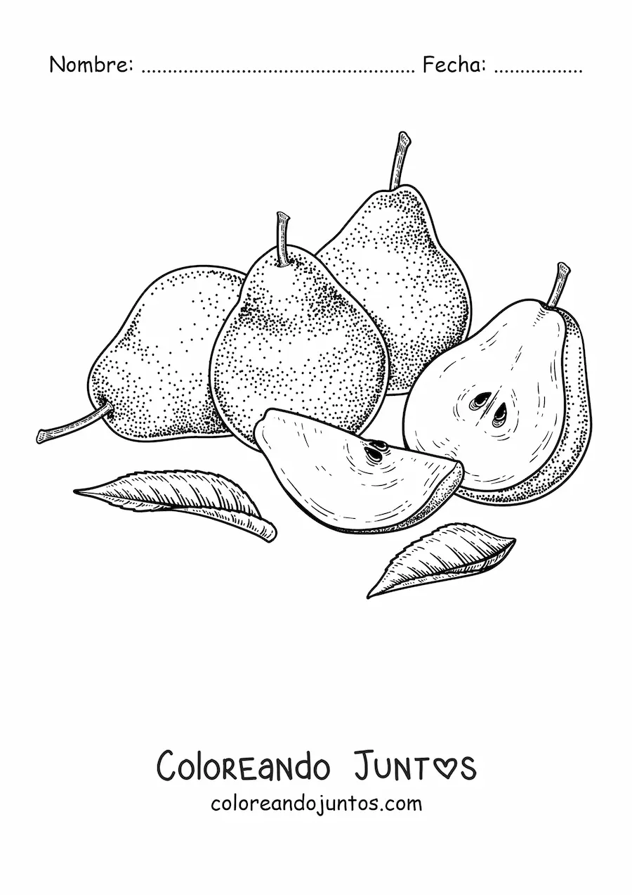 Imagen para colorear de cuatro peras rebanadas