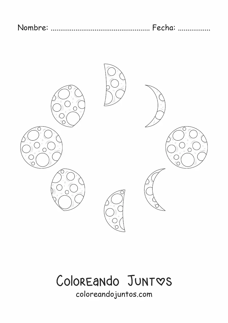 Imagen para colorear de las fases de la Luna