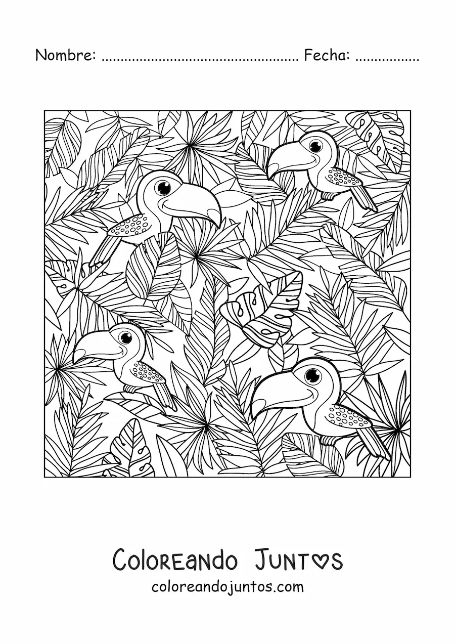 Imagen para colorear de varios tucanes kawaii en verano