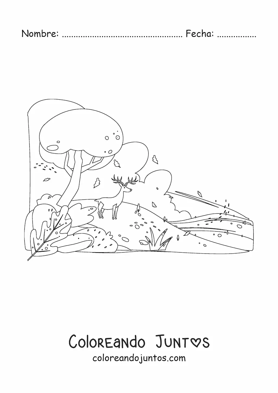 Imagen para colorear de un bosque en otoño