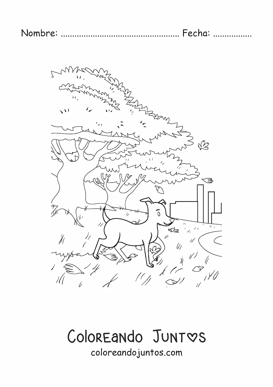 Imagen para colorear de un perro y un paisaje de otoño