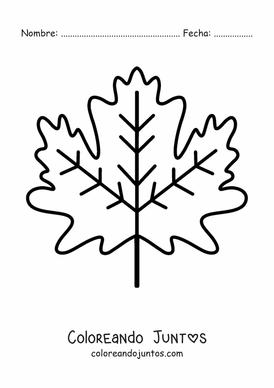 Imagen para colorear de una hoja de otoño
