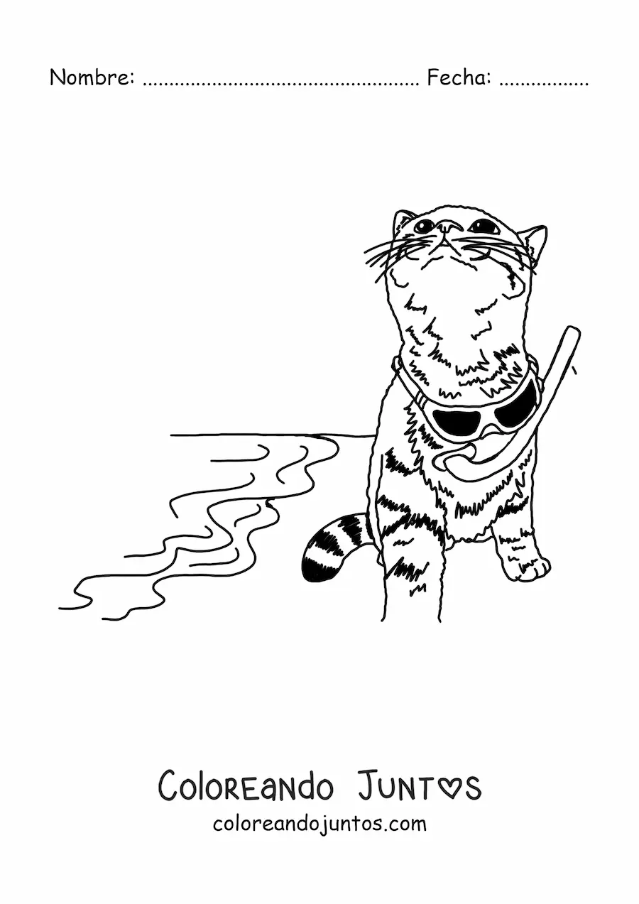 Imagen para colorear de un gato realista con lentes de sol en la playa