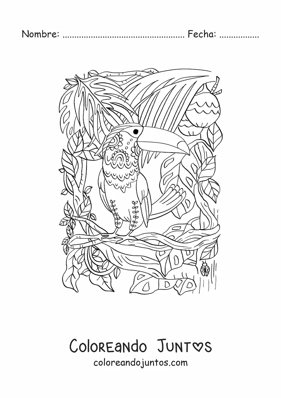 Imagen para colorear de un tucán en la selva tropical