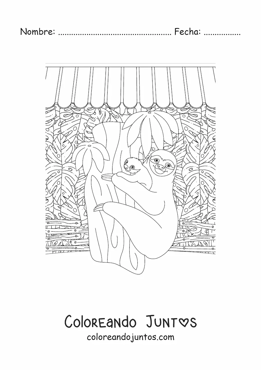 Imagen para colorear de dos perezas de selva tropical