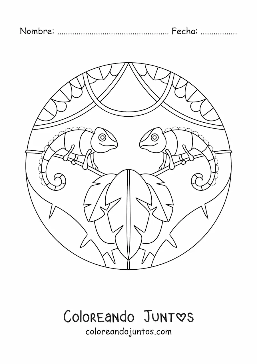 Imagen para colorear de dos camaleones salvaje