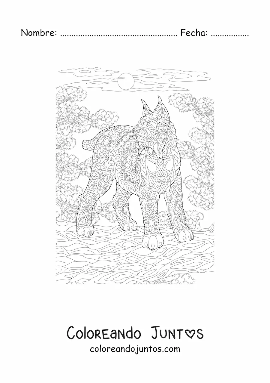 Imagen para colorear de un mandala con diseño de lince salvaje