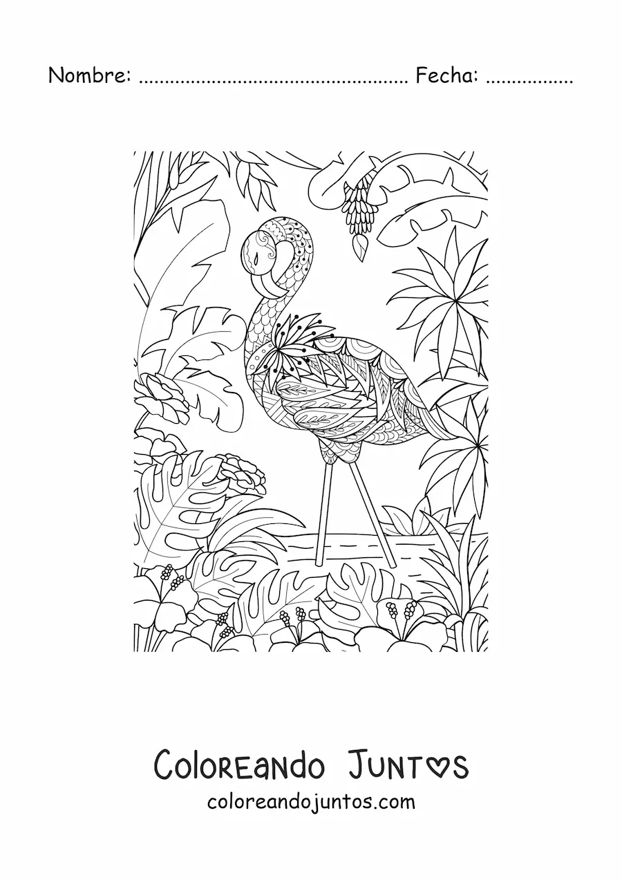 Imagen para colorear de un flamingo salvaje