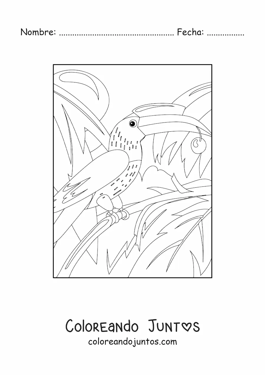 Imagen para colorear de un tucán en la selva