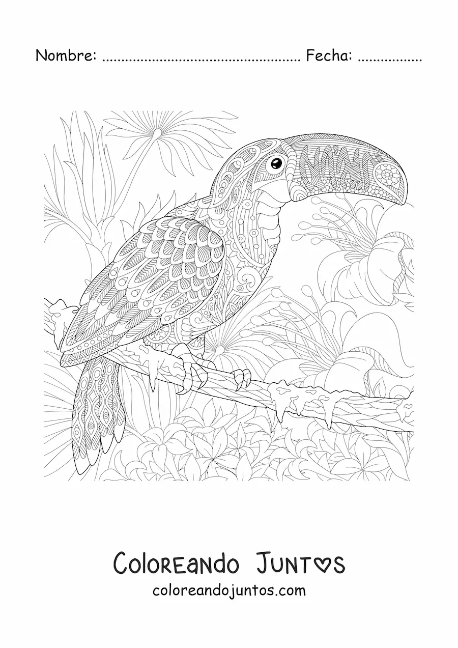 Imagen para colorear de un mandala con diseño de un tucán en la selva