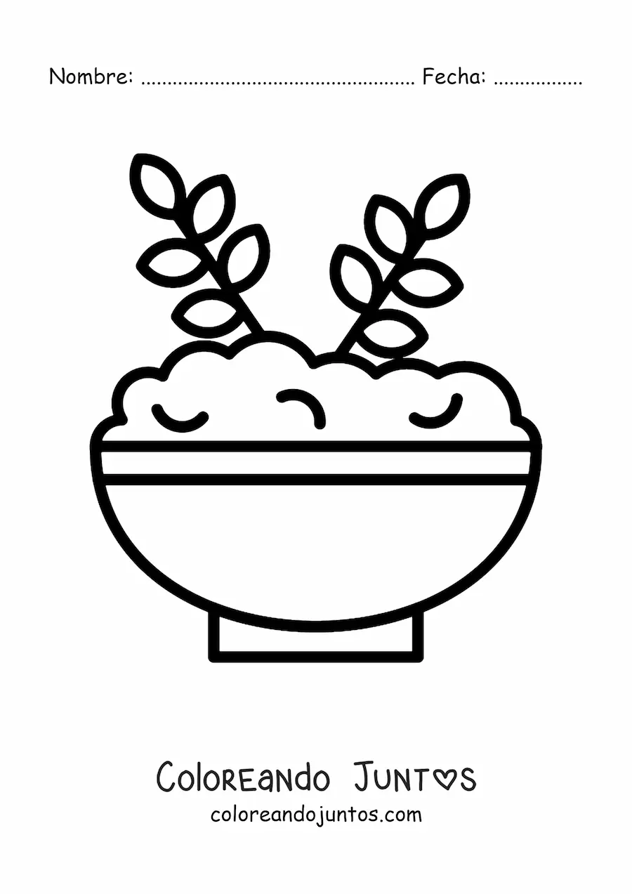 Imagen para colorear de un plato lleno de avena