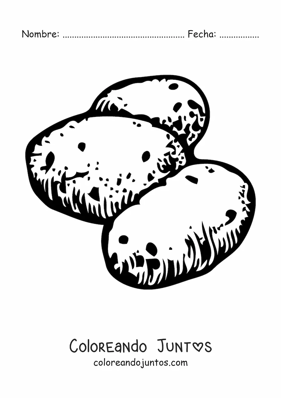 Imagen para colorear de tres papas crudas
