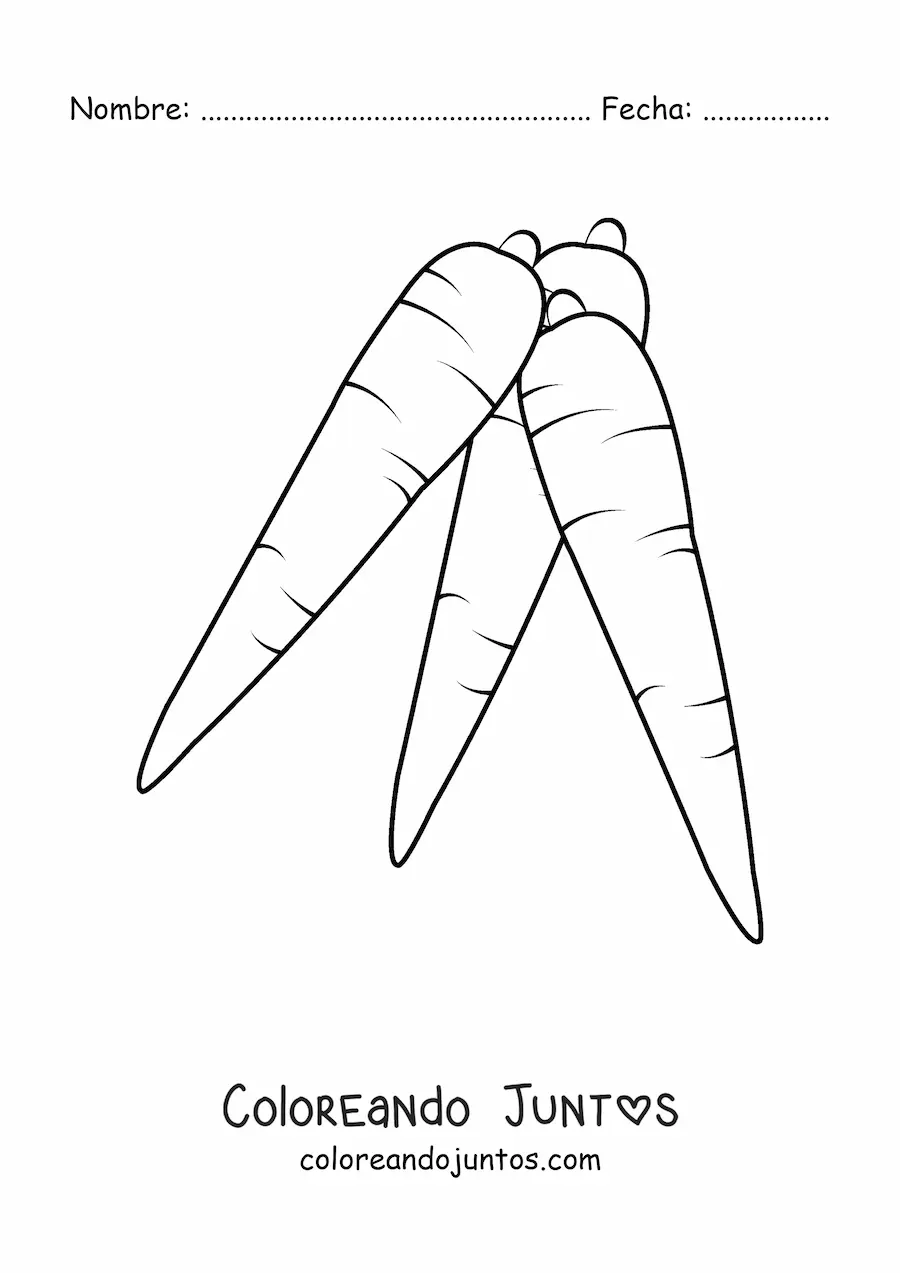 Imagen para colorear de  tres zanahorias sin hojas