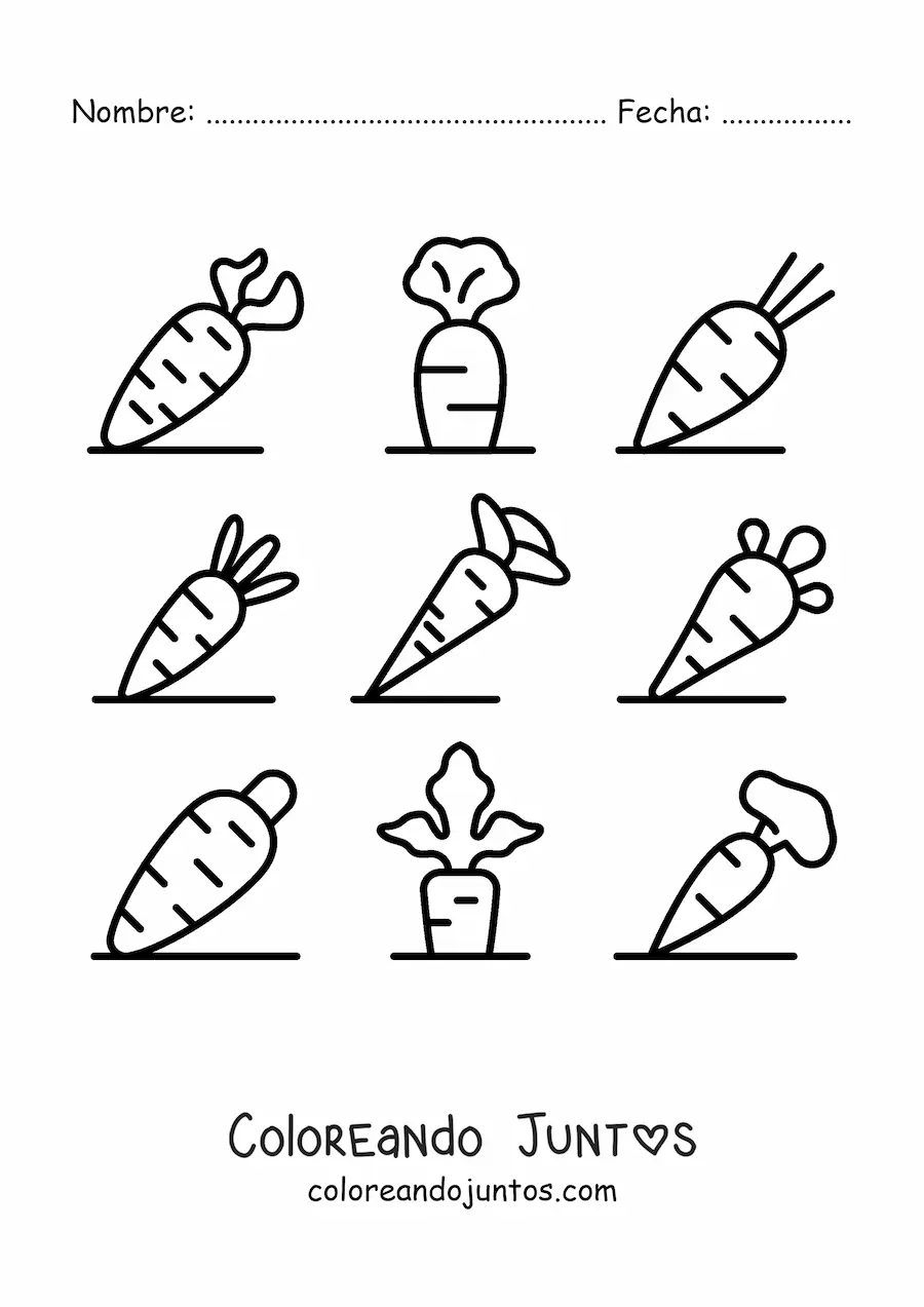 Imagen para colorear de los tipos de zanahorias