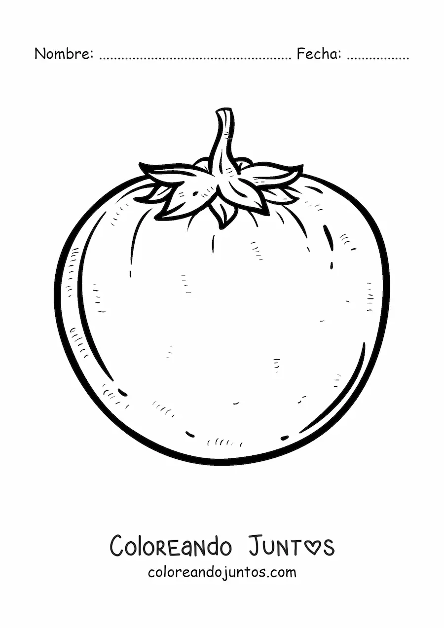 Imagen para colorear de un tomate realista