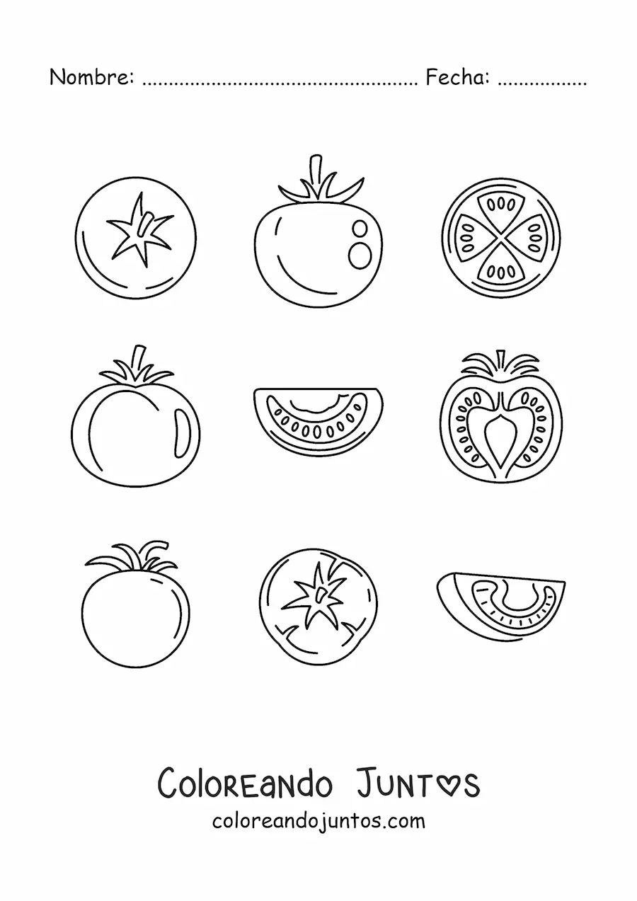 Imagen para colorear de las partes del tomate