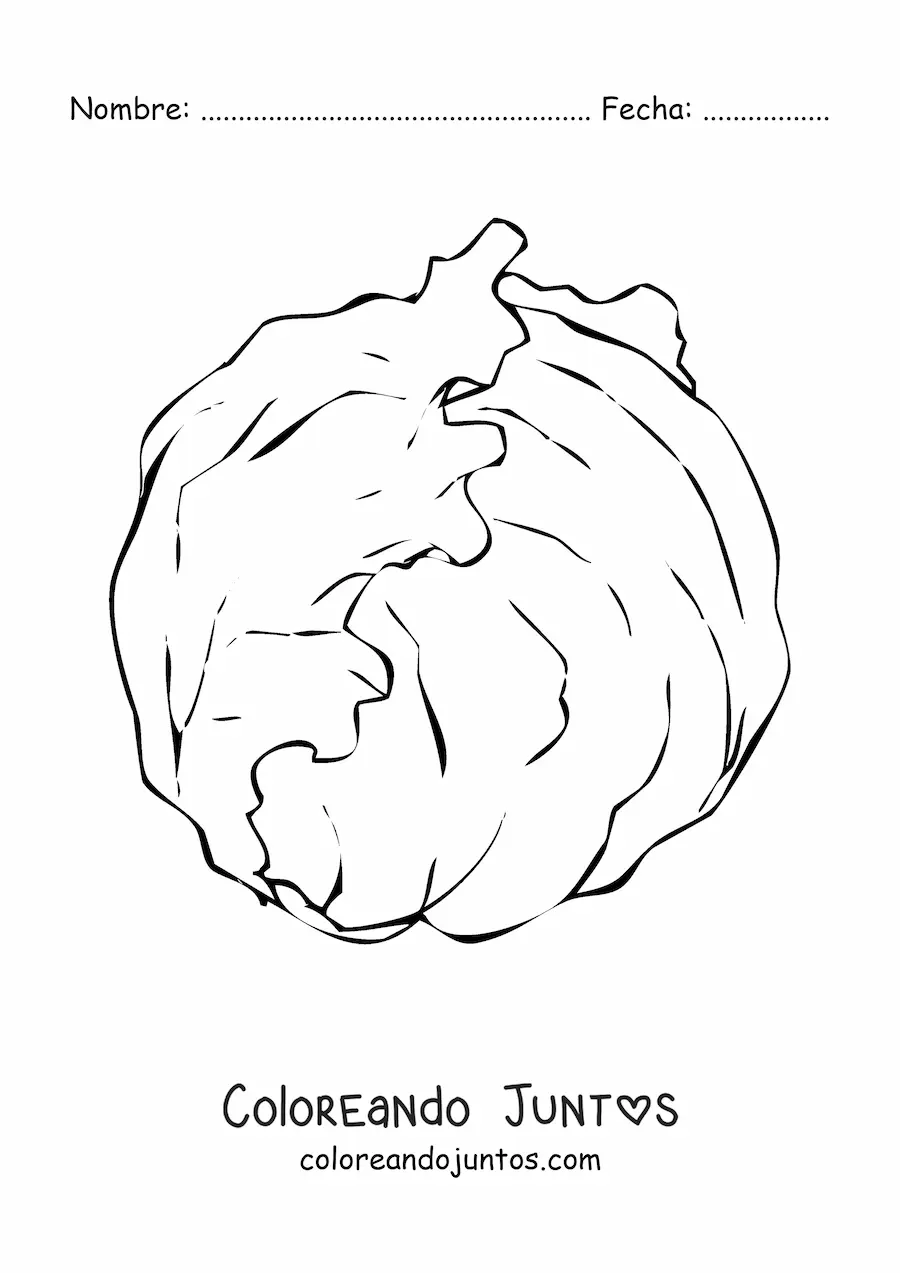 Imagen para colorear de una lechuga iceberg