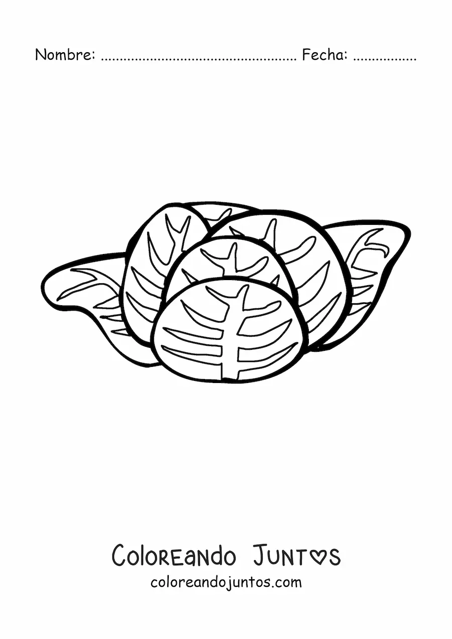 Imagen para colorear de una lechuga