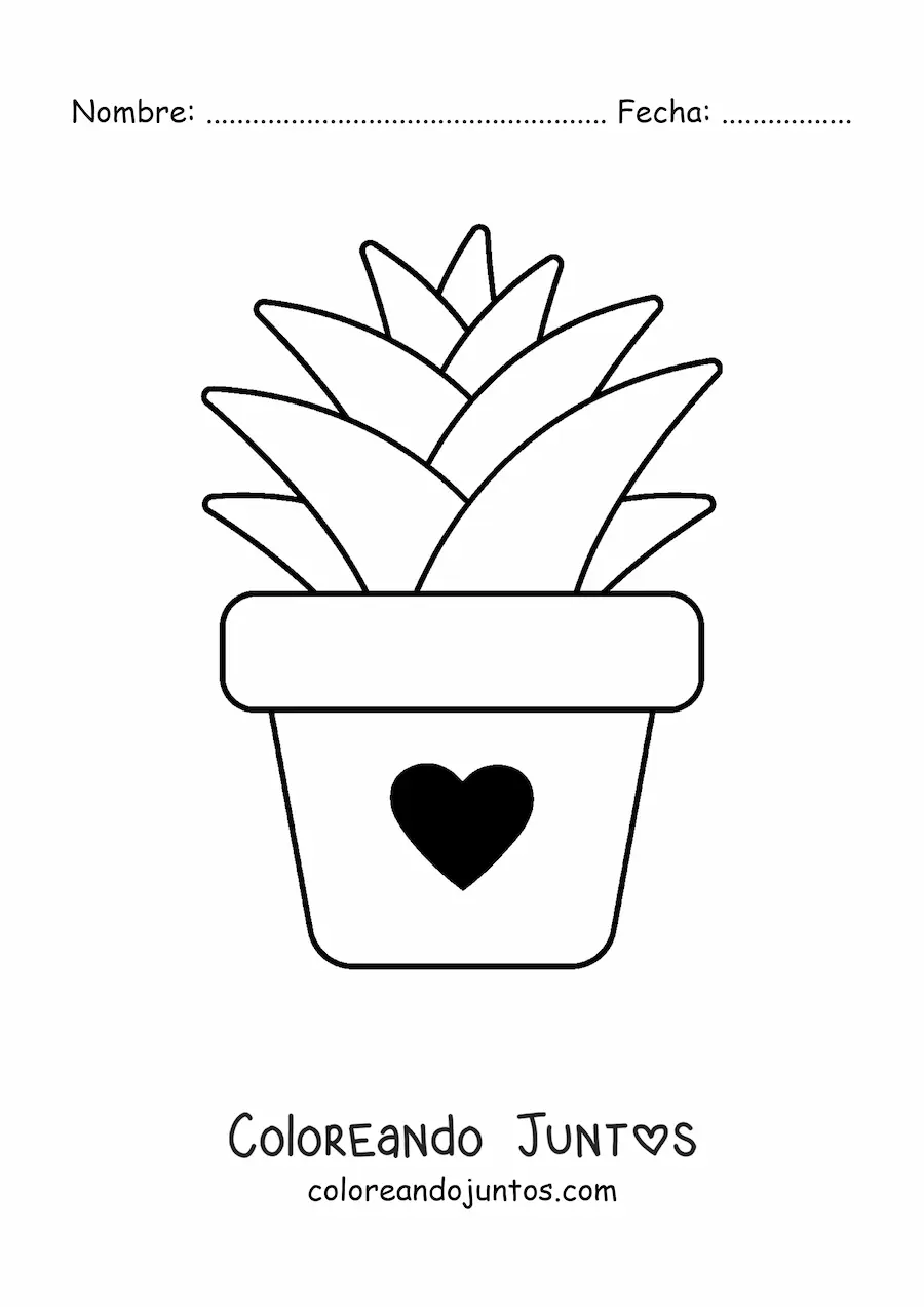 Imagen para colorear de una planta suculenta en una maceta