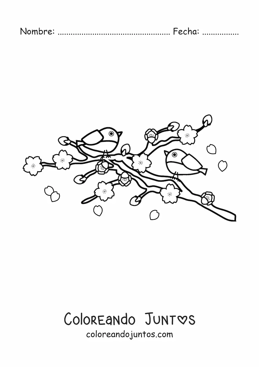 Imagen para colorear de dos aves posadas en un árbol de cerezo