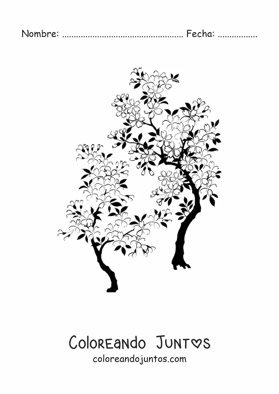 Imagen para colorear de dos cerezos