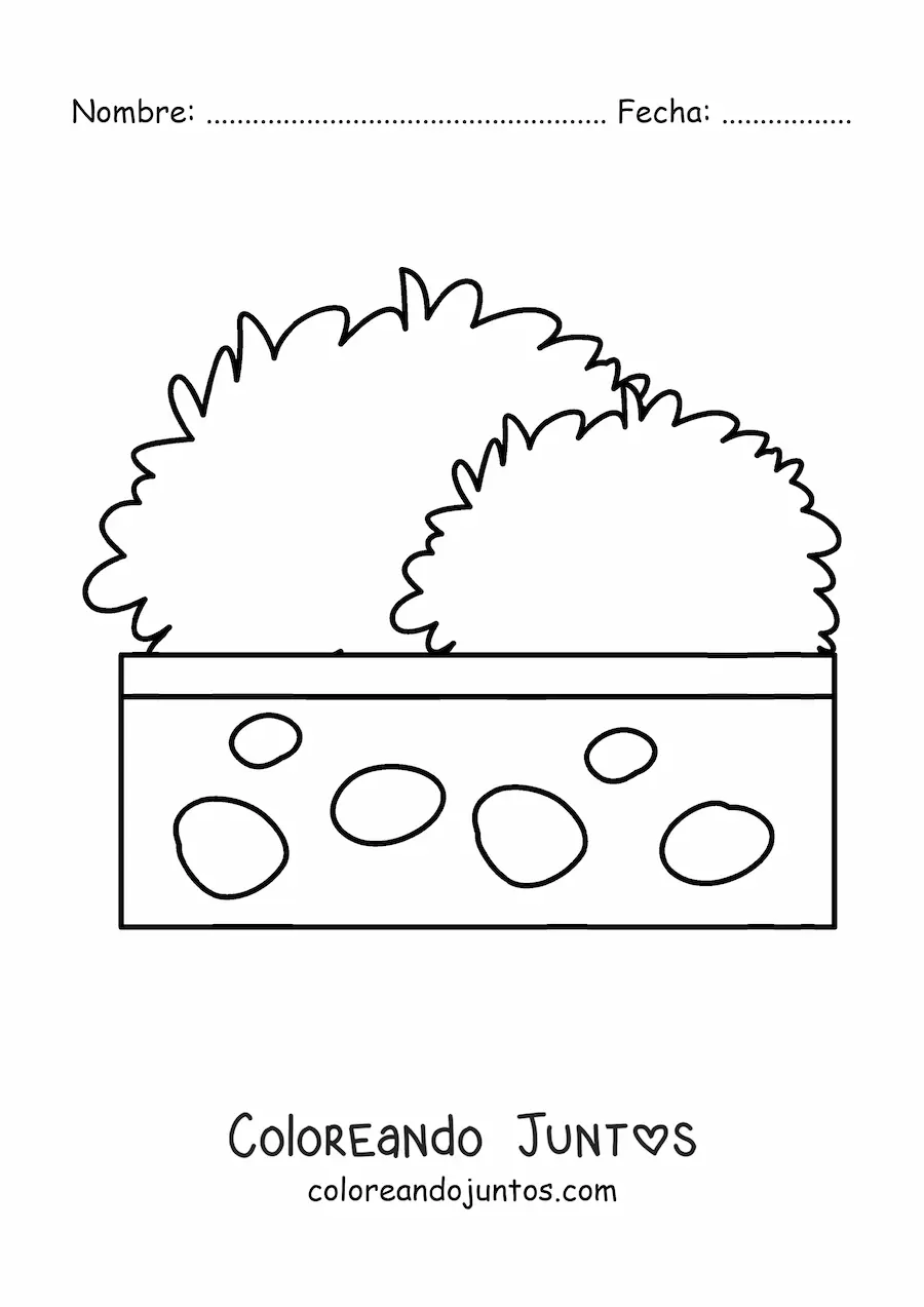 Imagen para colorear de un arbusto en una maceta