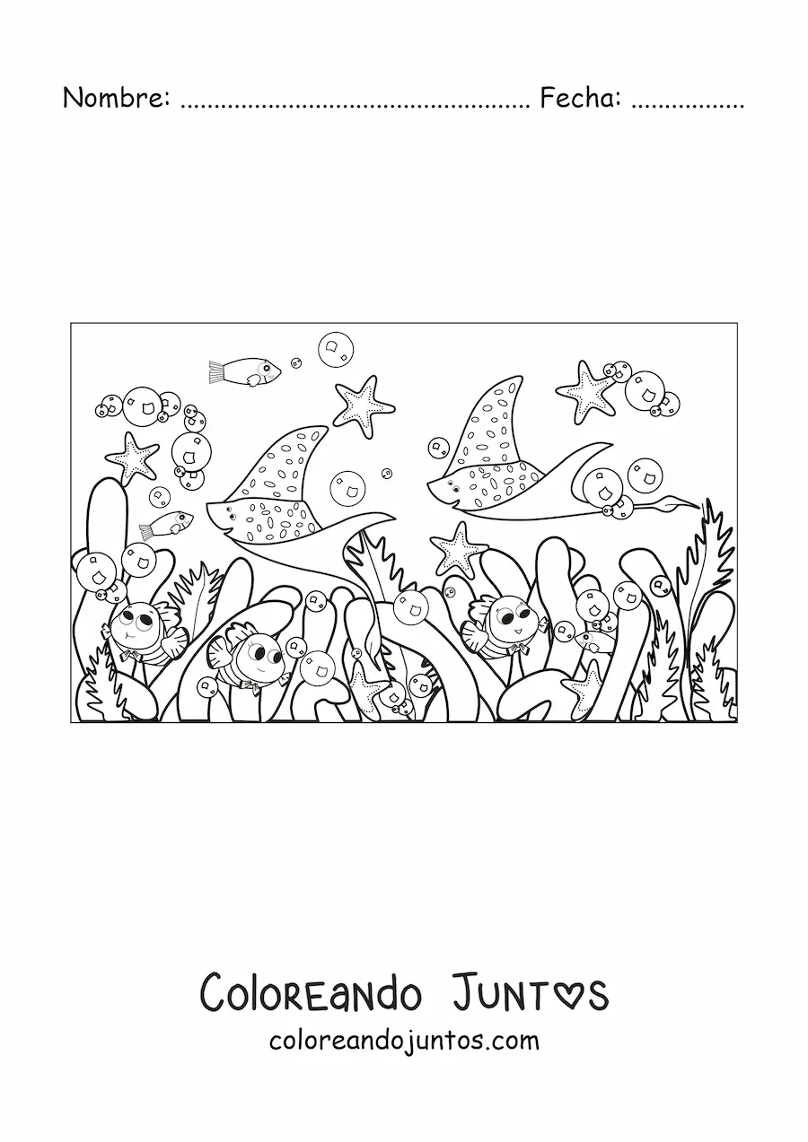 Imagen para colorear de varias algas y peces animados