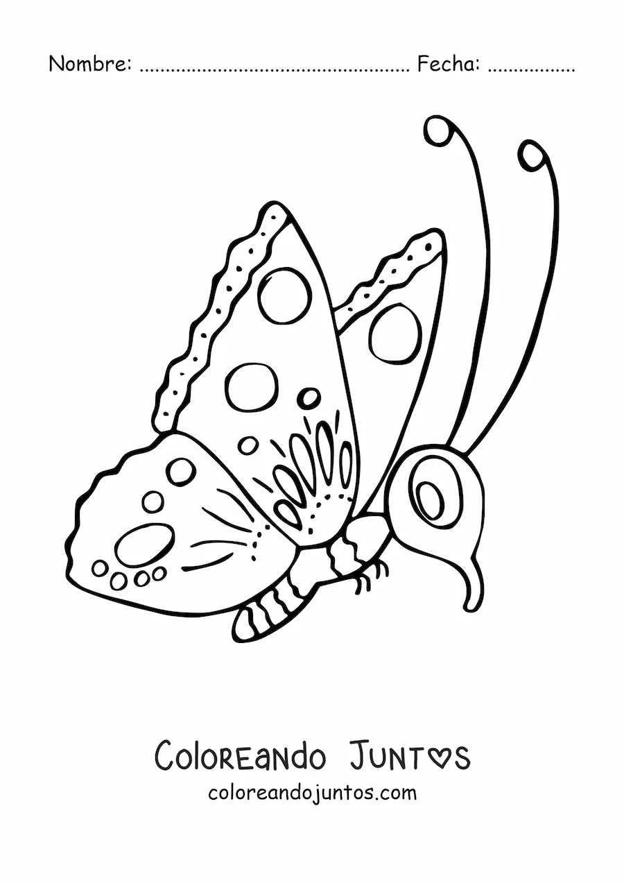 Imagen para colorear de una mariposa animada de perfil