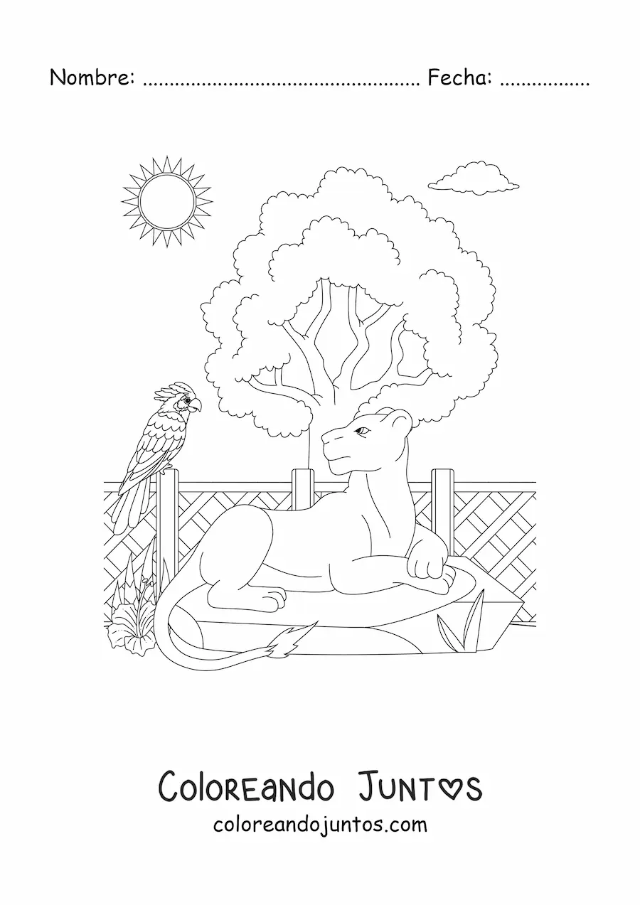 Imagen para colorear de una leona acostada junto a un ave y un árbol en el zoológico