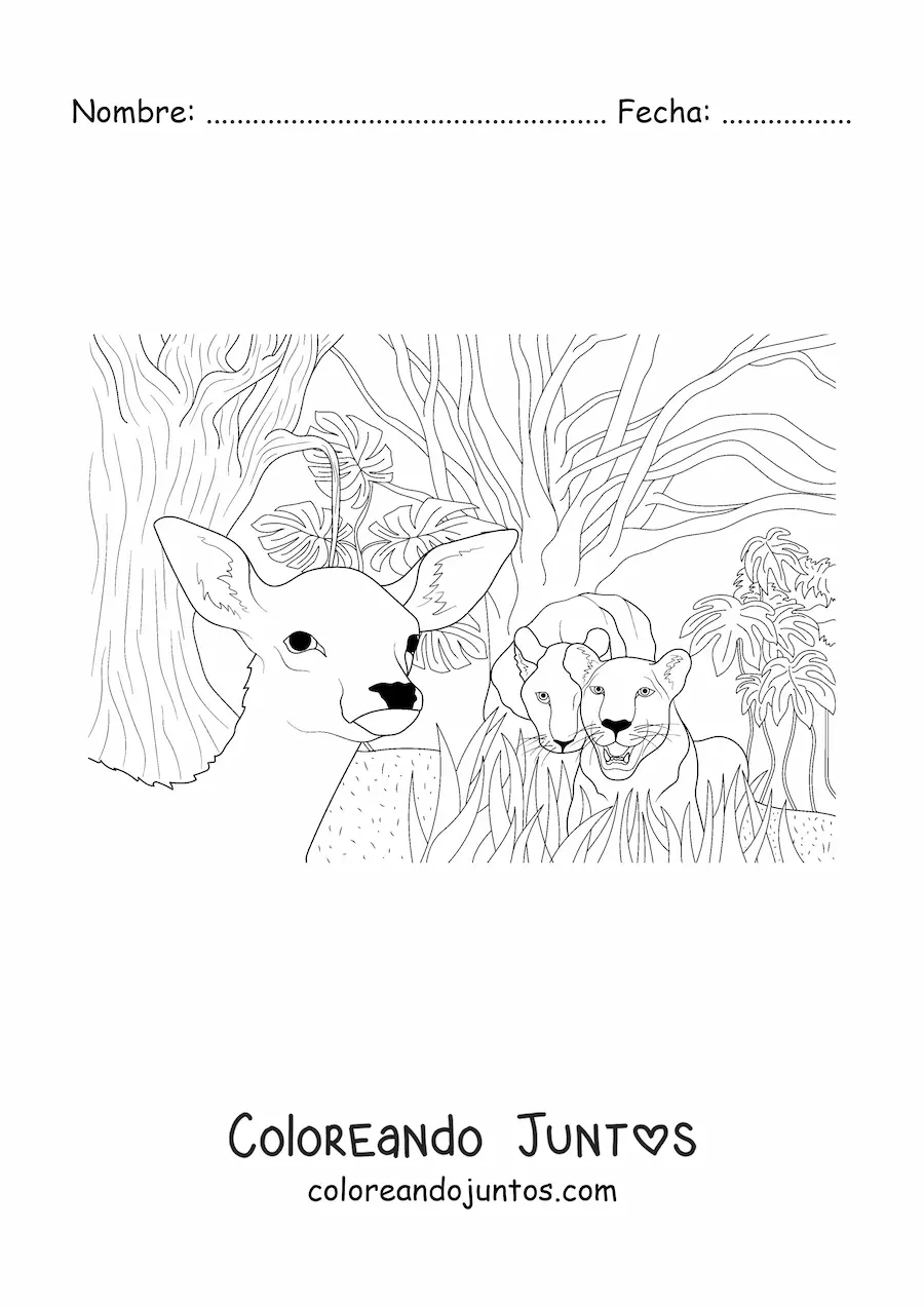 Imagen para colorear de una pareja de leones feroces cazando a un ciervo en la jungla