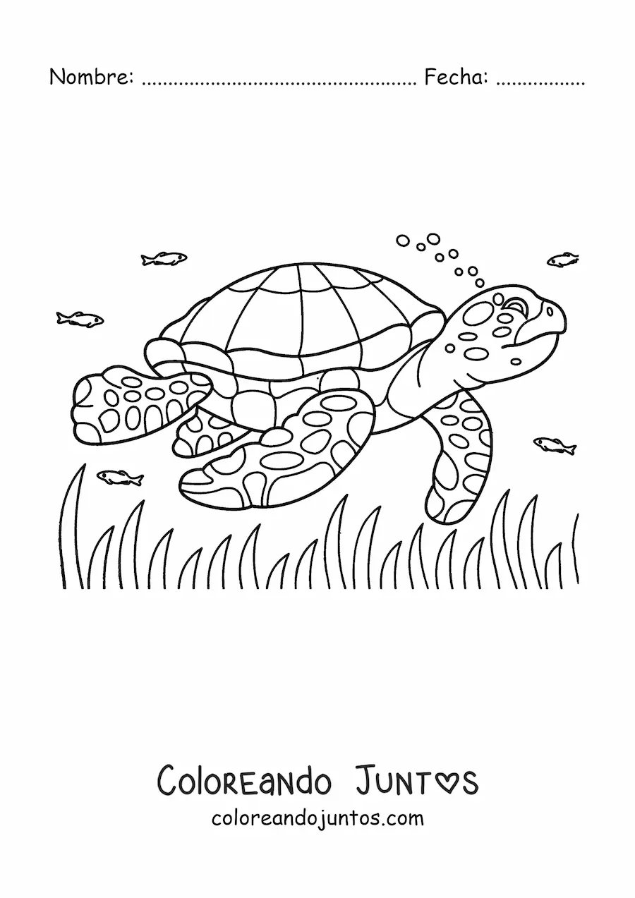 Imagen para colorear de una tortuga marina realista nadando entre peces en el mar