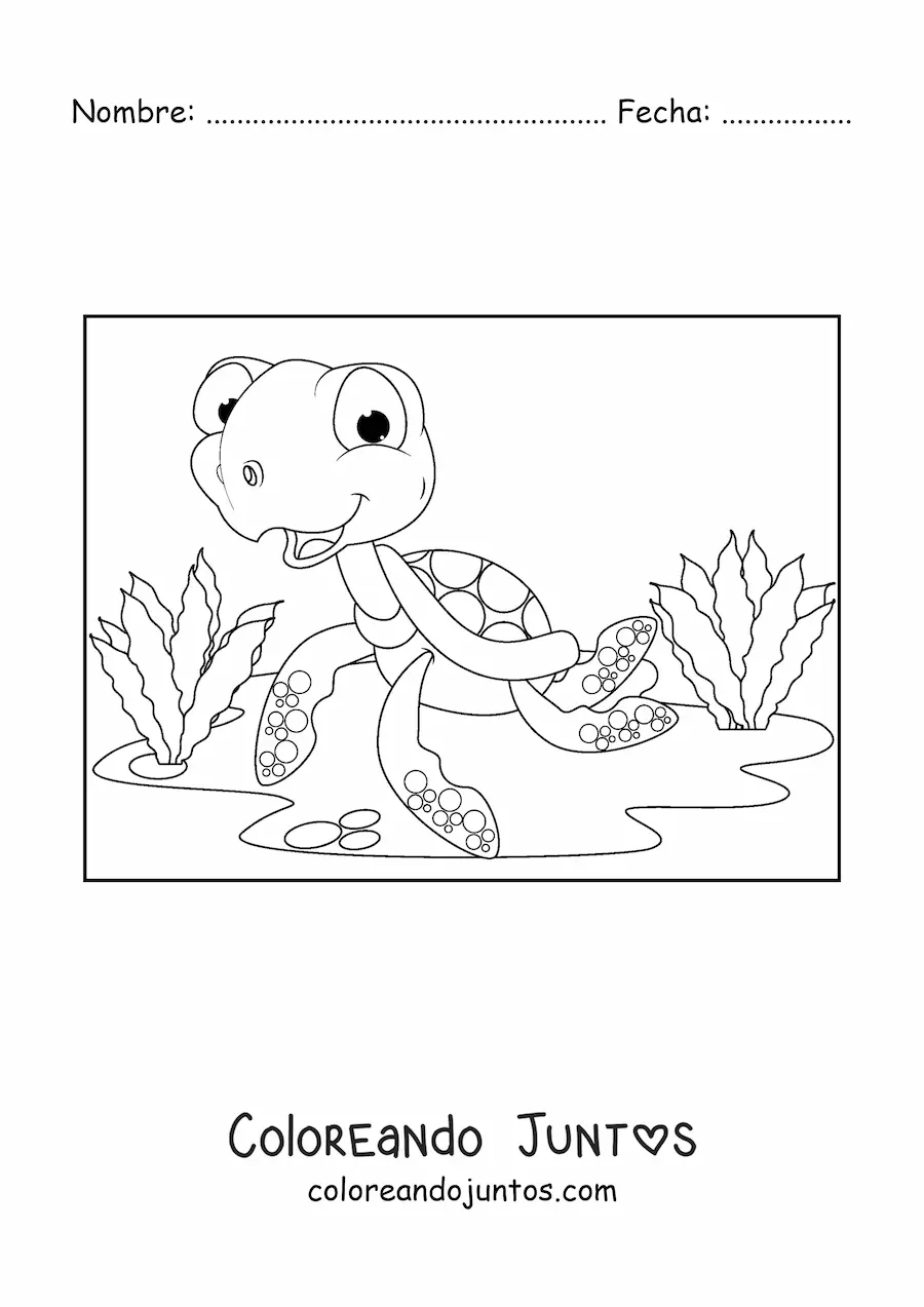 Imagen para colorear de una tortuga marina animada en el fondo del mar