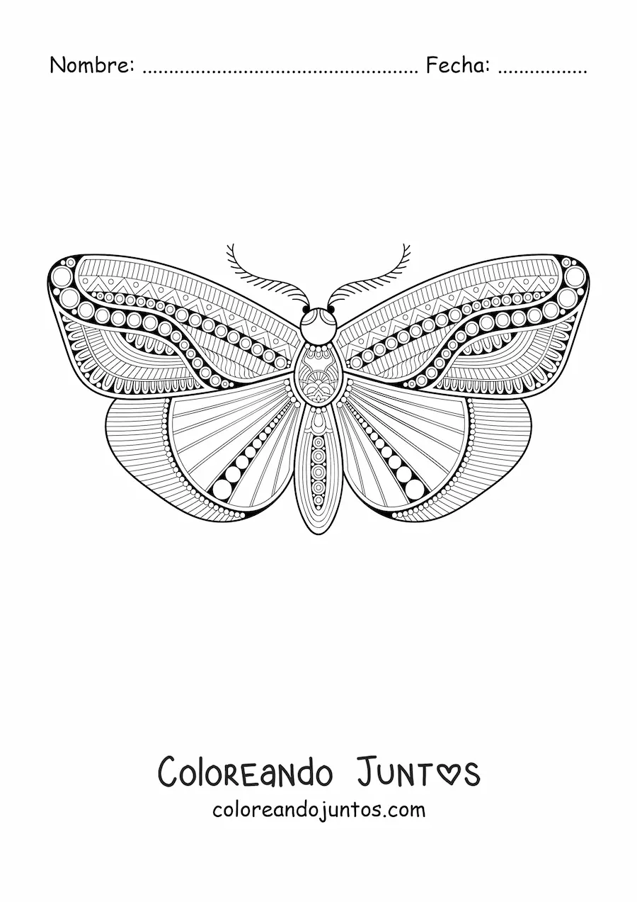 Imagen para colorear de un mandala de mariposa